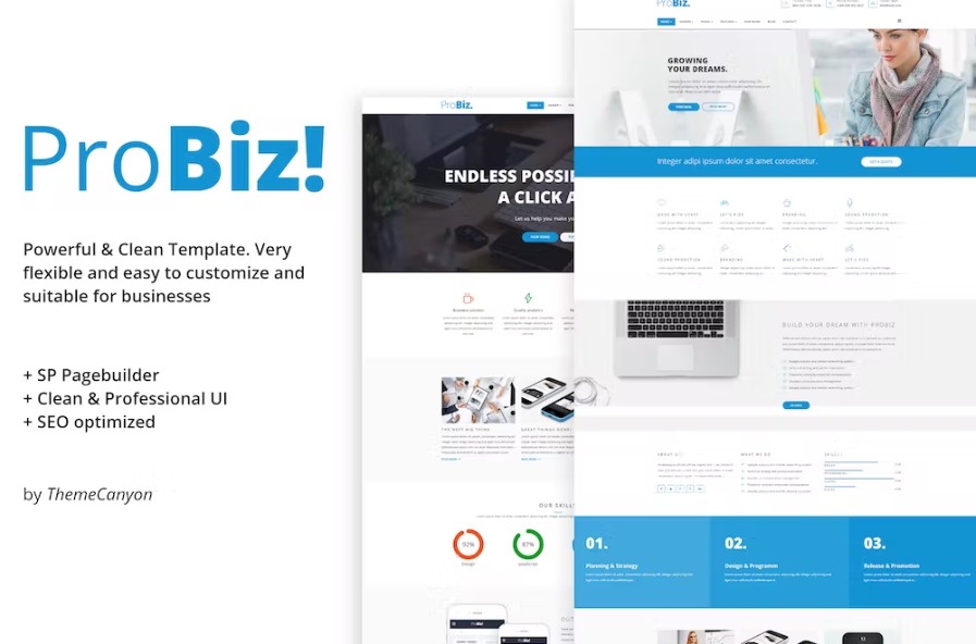 Free ProBiz Creative Multipurpose Business Template Download