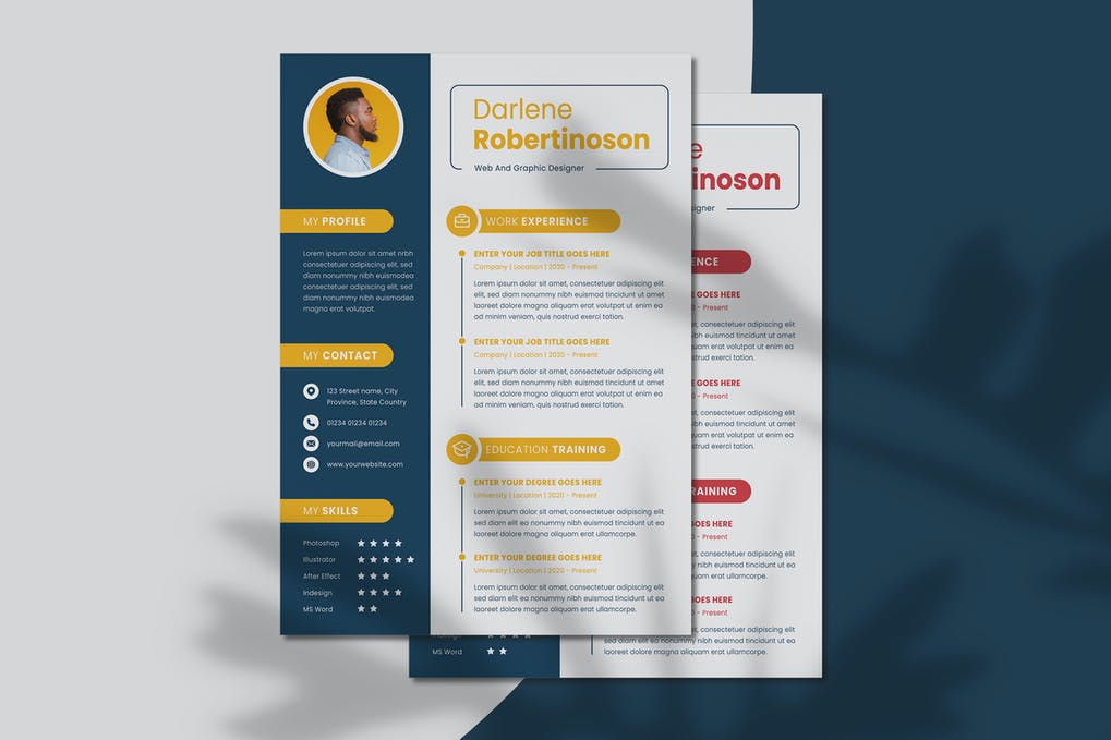 Professional Resume & Letter Template Vol.02