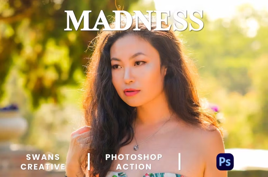 Free Madness Photoshop Action Download